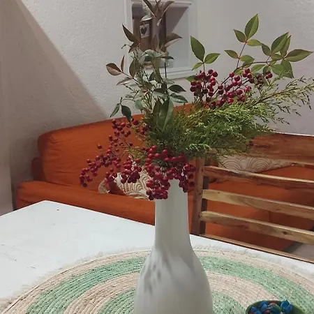 Casavacanze Vicolo Mentana *